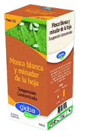 GLEBA